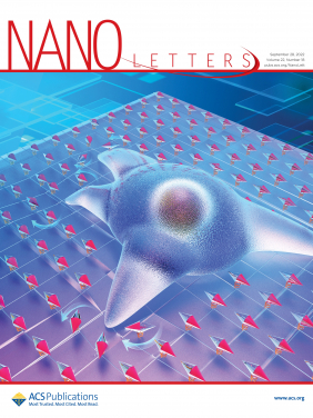 The new technology is featured as the supplementary cover of Nano Letters